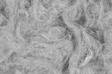 Contents vacuum cleaner garbage, trash, dust, animal hair background texture. close-up