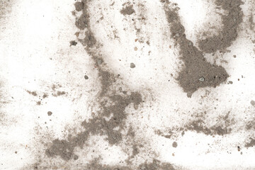 Contents vacuum cleaner garbage, trash, dust, animal hair isolated white background. close-up