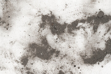 Contents vacuum cleaner garbage, trash, dust, animal hair isolated white background. close-up