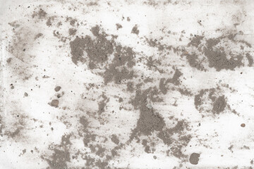 Contents vacuum cleaner garbage, trash, dust, animal hair isolated white background. close-up