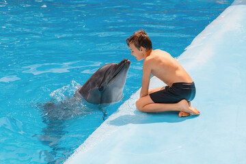 Kid and dolphin communication. Dolphin assisted therapy for boy, who is sitting and dolphin is...