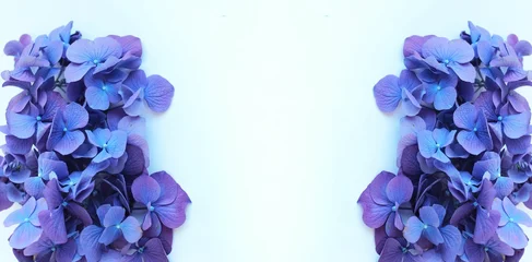 Gordijnen Purple hydrangea flowers on a white background. Background for a greeting card. © Olirina
