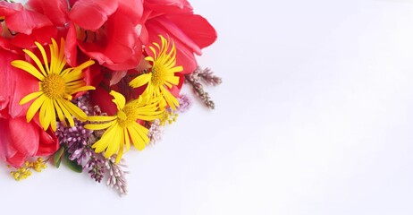 Red tulips and yellow daisies in a festive floral arrangement. Background for a greeting card.