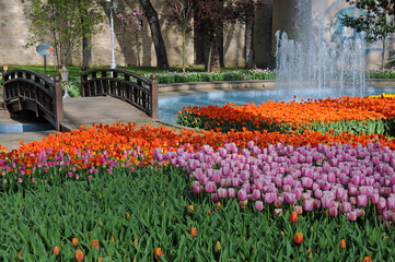 Bridge and tulips of Gulhane park
