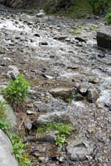 the mountain river flows quickly over the stones
