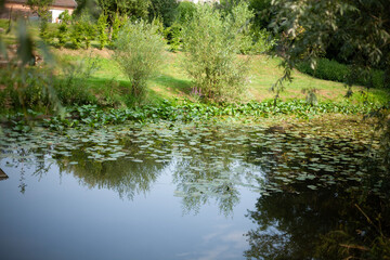 Streetshot in Vesoul in France