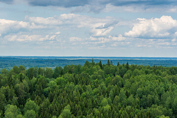 Top view. Horizon, cloudy sky and green tree tops.