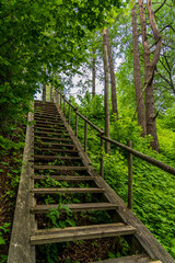 Forest Trail with Many Steps Up