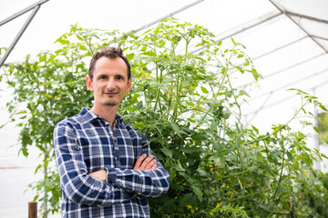 Farmer at work in greenhouse.