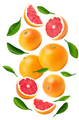 flying grapefruits with slices and green leaves isolated on white background. clipping path