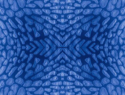 Snake Graphic Pattern. Indigo Fashion Style. Blue