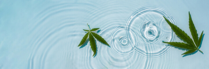 Blue water background with drops, waves and leaves of hemp, marijuana