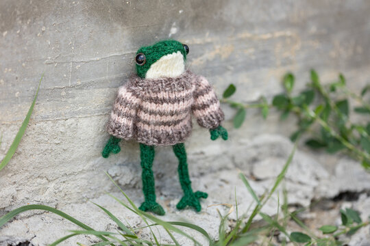Knitted frog - a toy sits on the boards