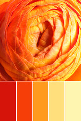 Palette of autumn colors and beautiful fresh flower as background, closeup