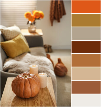 Palette of autumn colors and pumpkin and burning candles on wooden table in living room
