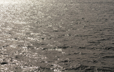 Sea surface background. Sun light shines.