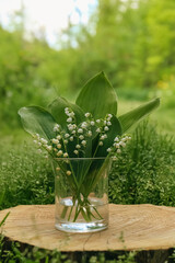 Beautiful lily of the valley flowers in glass vase on wooden stump outdoors