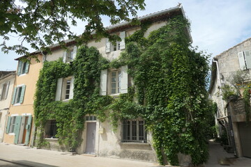 Maison de Provence avec mur végétal