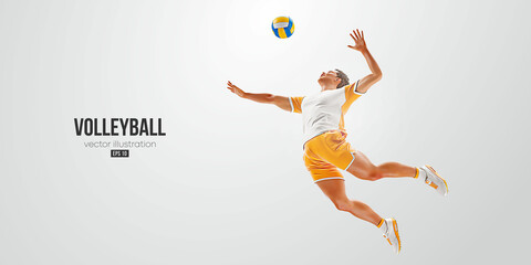 Fototapeta na wymiar Realistic silhouette of a volleyball player on white background. Volleyball player man hits the ball. Vector illustration
