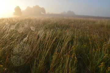 Morning Warmian landscape of Poland