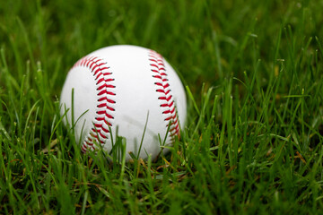 Baseball Grass