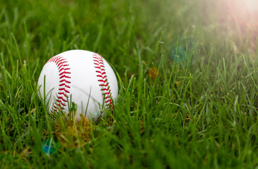 Baseball Grass