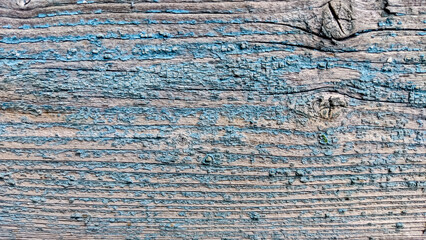 The texture of an old wooden board with traces of old cracked blue paint, traces of cracks and knots