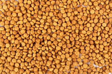 Background (texture) of dry food for cats or dogs. Balanced nutrition of pets.. Template for the design. Space for text.