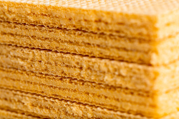 Vanilla Wafer