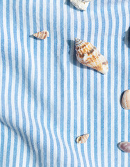 Different kinds of seashells frame on the blue striped fabric background top view. Copy space
