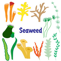 Naklejka premium seaweed