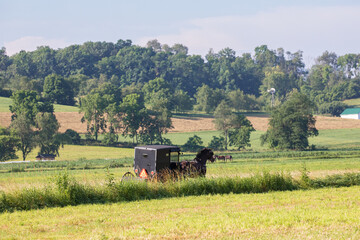 Fototapeta na wymiar Amish horse and buggy traveling through the wooded countryside of Holmes County, Ohio