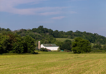 White Amish barn with a silo surrounded by trees and fields under a blue sky in summer