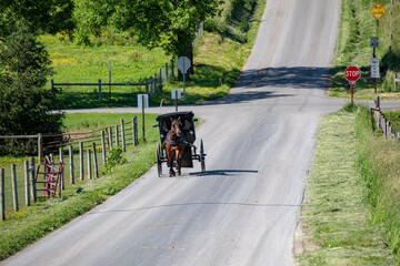 Amish horse and buggy on a country road in the summer in Holmes County, Ohio, near Berlin and Mount Hope