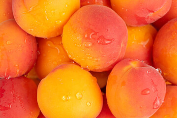 Fresh apricot fruits background. Top view