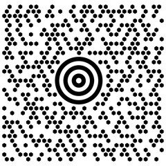 Maxi Code vector illustration. maxi code barcode symbolic icon