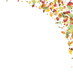 Leaves Falling Autumn Foliage Chaotic Leaf Flying