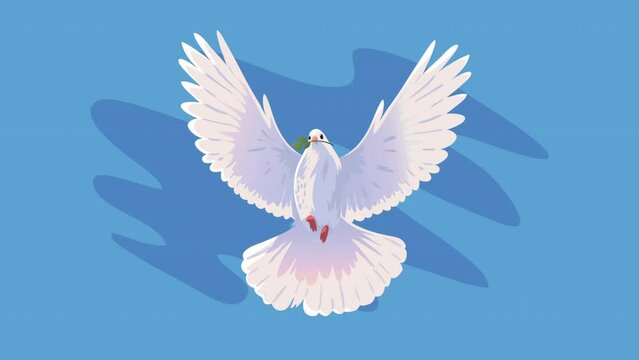 dove bird flying front animation