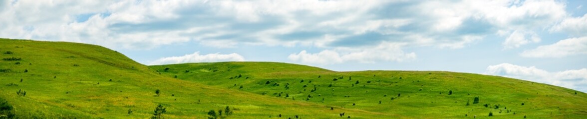 Landscape view of green grass on a hillside with blue sky and clouds in the background. Beautiful natural landscape of countryside hills