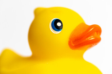 Yellow Rubber Duck