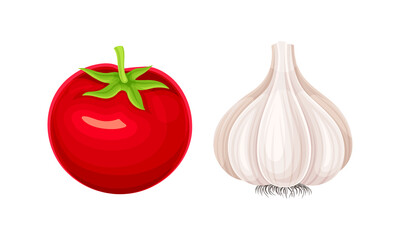 Tomato and garlic ripe fresh vegetables vector illustration
