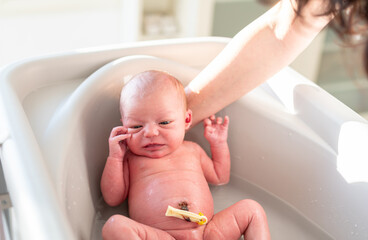 hands of a mother holding the head of her newborn baby with days of life still with the umbilical cord while bathing him in the daily cleaning routine. concept care of the body of the newborn baby