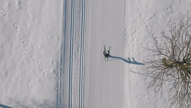 Cross Country Skier Skiing Along Snowy Path