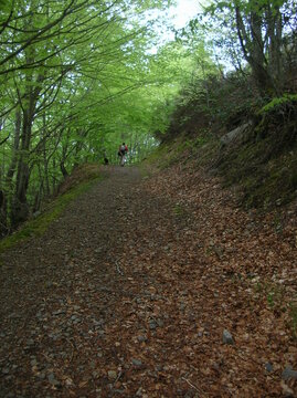 Sierra De La Demanda 