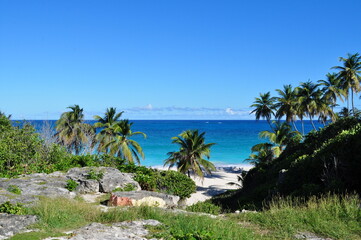 Fototapeta na wymiar Bottom Bay Barbados - Beach in the Carribean
