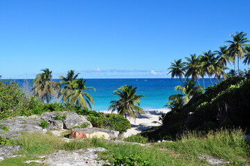 Fototapeta na wymiar Bottom Bay Barbados - Beach in the Carribean