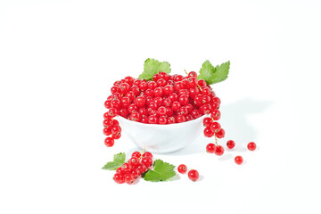 Red currant berry isolated on white background
