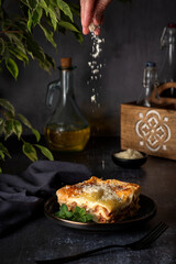 Food photography of lasagna, cheese, parmesan, oregano