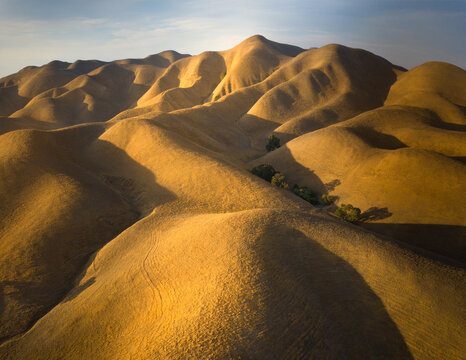 Golden light on golden hills, Central California, USA