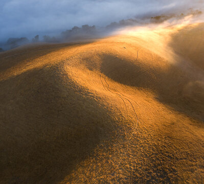 Morning fog in golden rolling hills, Central California, USA